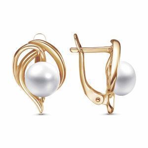 02e9c029-af85-11ee-ac91-3cecef60cf21_1771521b-3450-11ef-ac93-3cecef60cf21