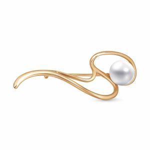 dfc42f05-fd5e-11ee-ac91-3cecef60cf21_4323ee68-53bb-11ef-ac93-3cecef60cf21