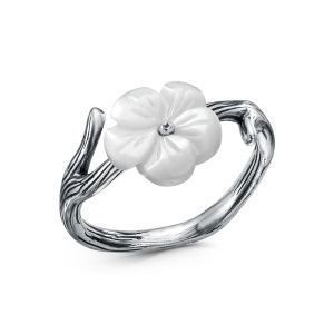 bdce9587-9874-11f0-ac9a-3cecef60cf21_3fdc937f-ca8d-11f0-ac9b-3cecef60cf21