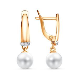 850523ae-0dfa-11eb-aab5-001517b7f78c_6a507f64-f50d-11f0-ac9b-3cecef60cf21