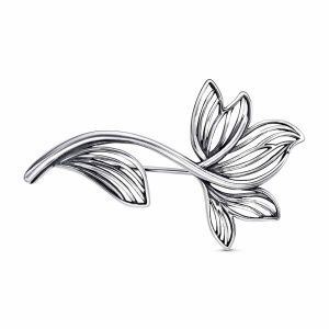 bbf60c13-c4c2-11ee-ac91-3cecef60cf21_7caa0676-fa86-11ef-ac95-3cecef60cf21