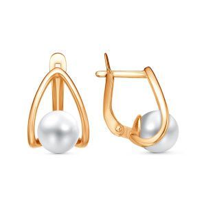 a45bbbf0-953e-11f0-ac9a-3cecef60cf21_37925549-da7f-11f0-ac9b-3cecef60cf21