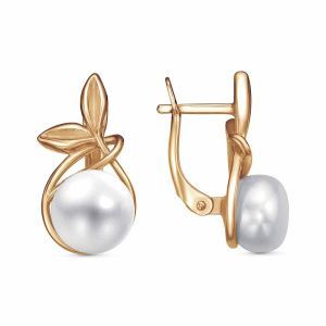 d0efbd45-0130-11ef-ac91-3cecef60cf21_cf66ae25-6c14-11ef-ac93-3cecef60cf21