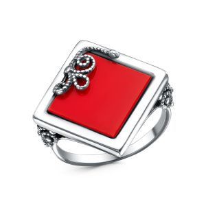 3e0cb2aa-5678-11f0-ac99-3cecef60cf21_96013ba9-a9a0-11f0-ac9a-3cecef60cf21