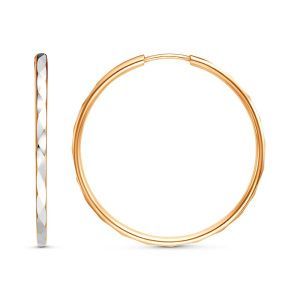 204348f6-7758-11f0-ac99-3cecef60cf21_15433fe6-affd-11f0-ac9b-3cecef60cf21