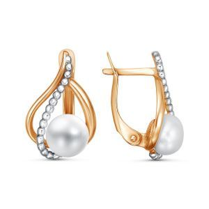 73871ac4-19ef-11f0-ac98-3cecef60cf21_1988a82a-58a9-11f0-ac99-3cecef60cf21