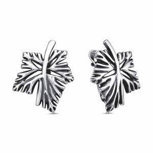 a140f7dd-556a-11ef-ac93-3cecef60cf21_f3780269-fa8c-11ef-ac95-3cecef60cf21