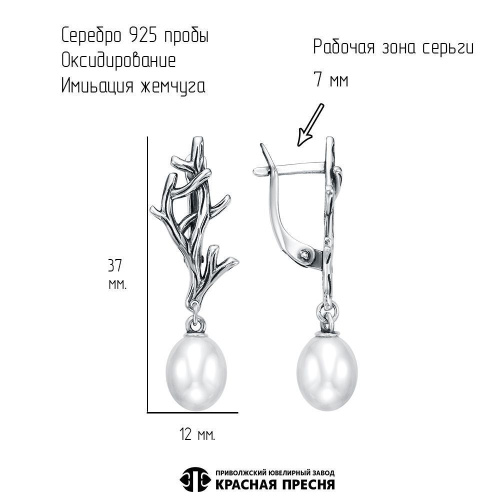 33616982_серьги