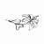 34c435af-f7e9-11ee-ac91-3cecef60cf21_006ac224-5adf-11ef-ac93-3cecef60cf21