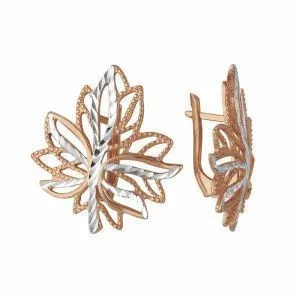 6fb2d953-a56c-11e1-9b63-001517b7f78c_6025a5ad-9572-11e8-a0dd-001517b7f78c