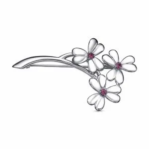 2c3777b0-2c82-11ef-ac93-3cecef60cf21_9f1b6ee9-6c18-11ef-ac93-3cecef60cf21