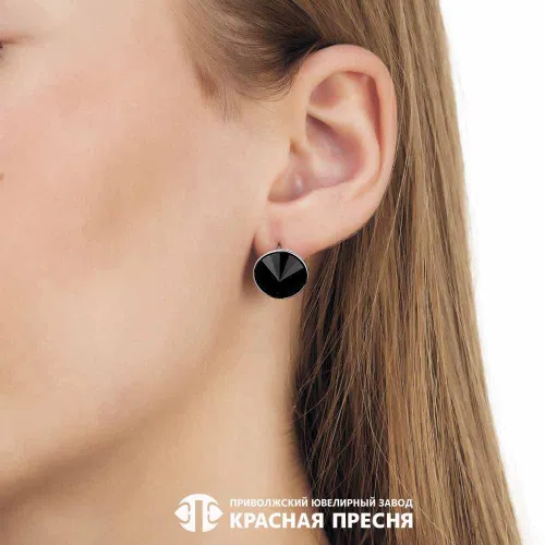 33611712д1_серьги