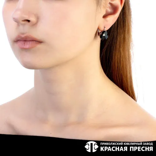 3381637д1_серьги