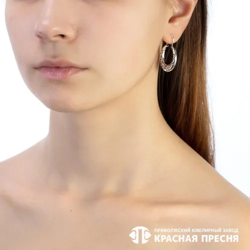 33013492_серьги