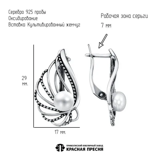 33316162_серьги