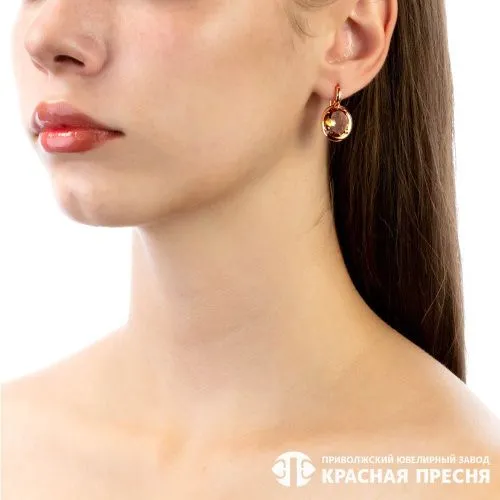 33812385-22_серьги