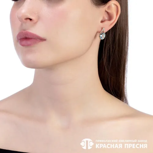 33112753дтг_серьги