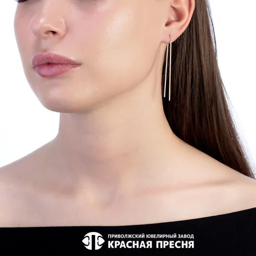 33013809_серьги