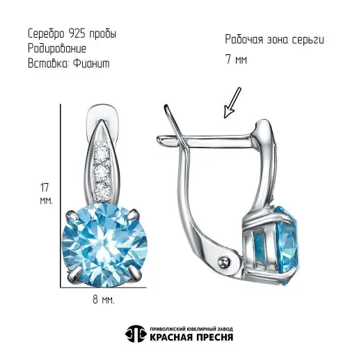 33810162д3_серьги