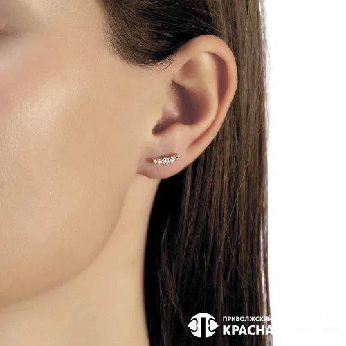 33813171_серьги