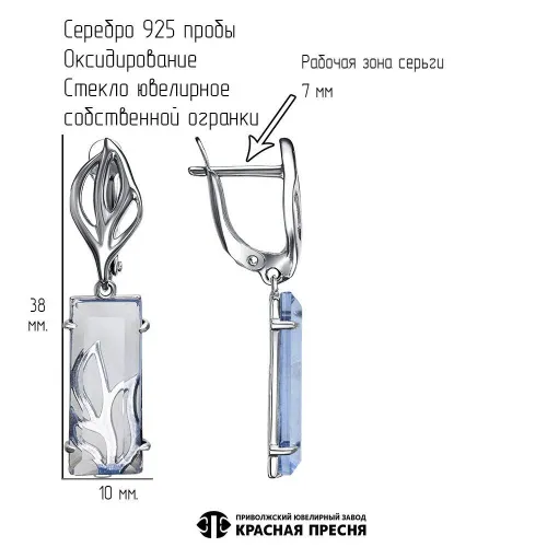 33615158-3_серьги