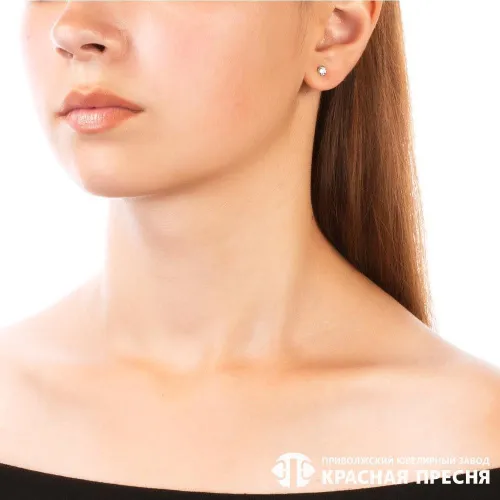 33812884д_серьги