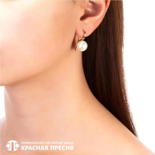 33612527_серьги