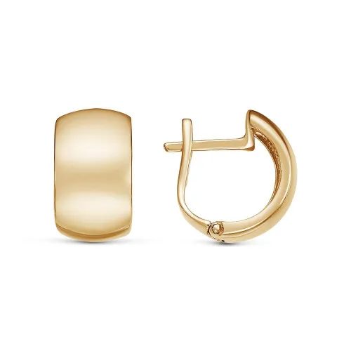 34011827_серьги