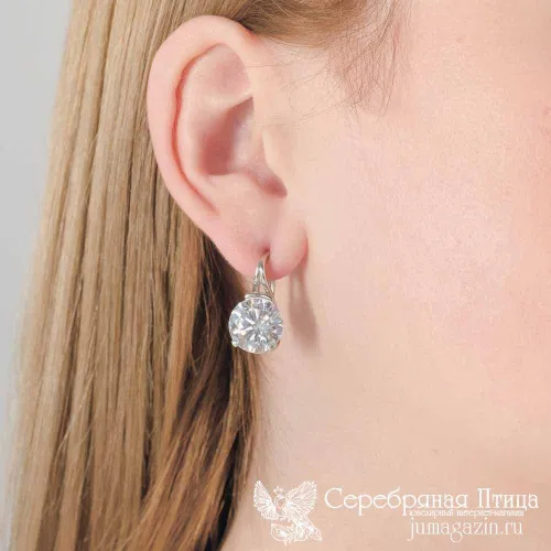 33810114д_серьги