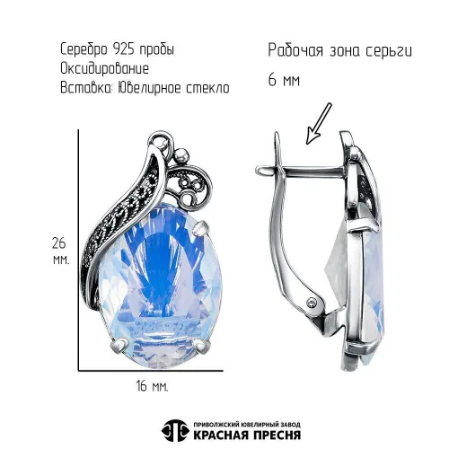 33615426_серьги