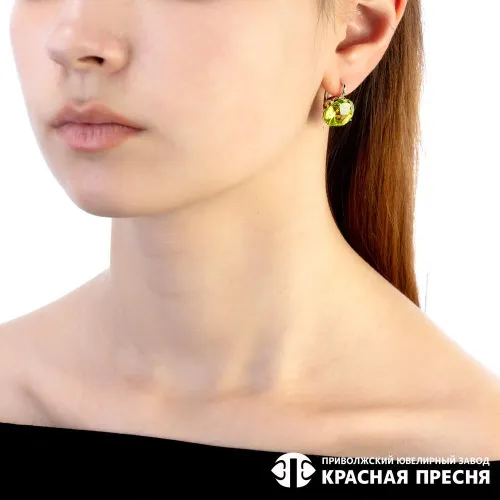 3381637д10_серьги