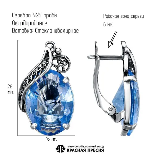 33615426-3_серьги