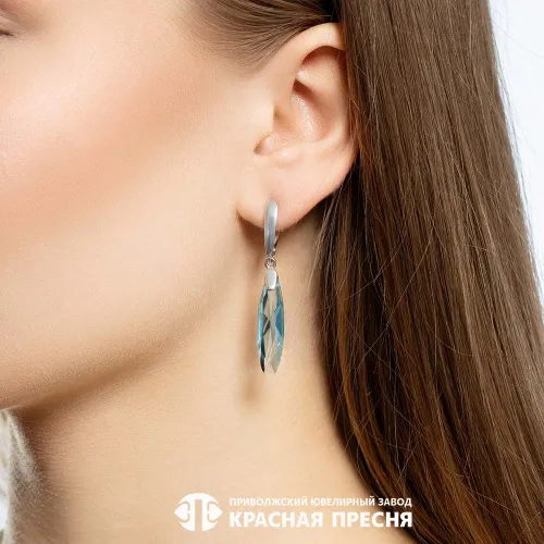 33615226пл3_серьги