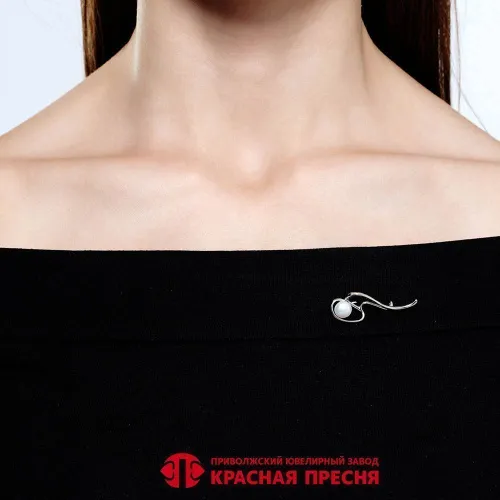 13315920пл_брошь