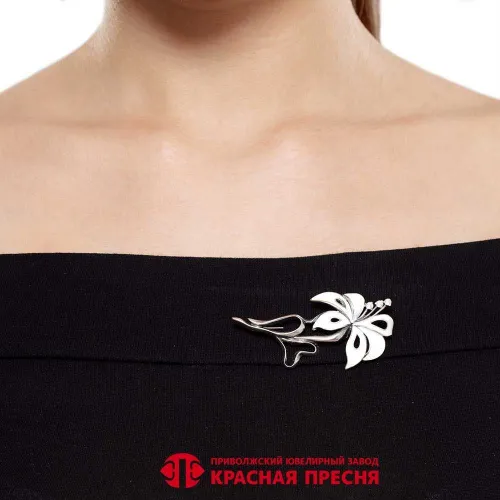 13815100пл_брошь