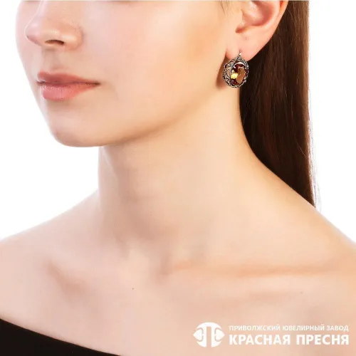 3387522-22_серьги