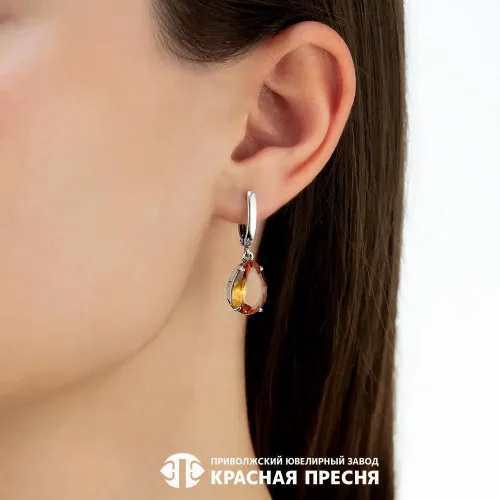 33811758-22_серьги