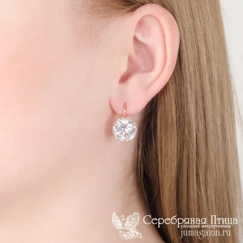 33810119_серьги