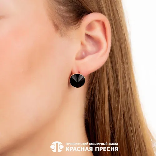 33611713-1_серьги