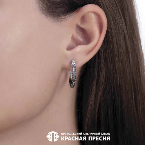 33014538_серьги