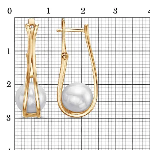 33613699_серьги