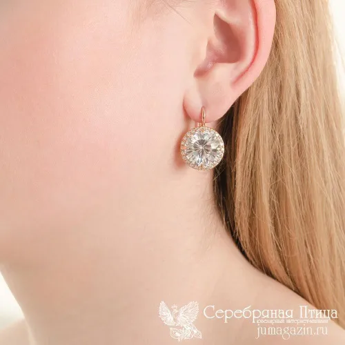 3382349_серьги