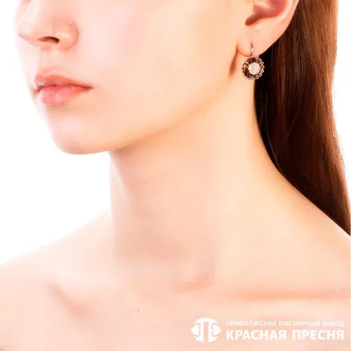 33810877-22_серьги