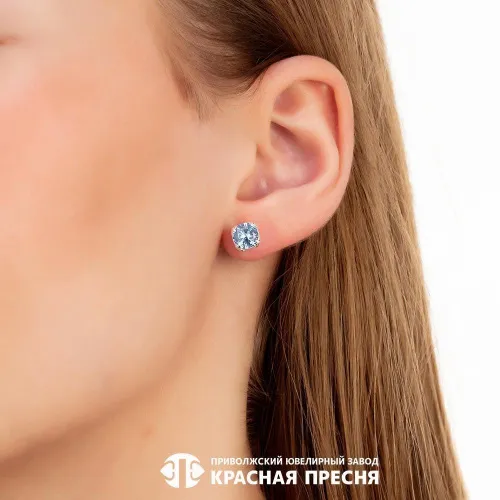 3382622б3_серьги