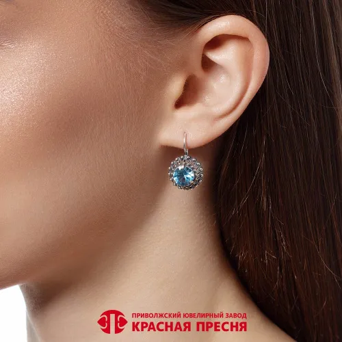 33810952-14_серьги