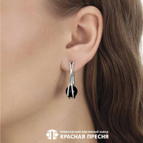 33613698-1_серьги