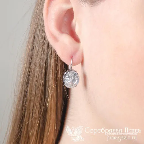 3381551_серьги