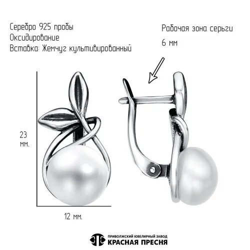 33310966_серьги