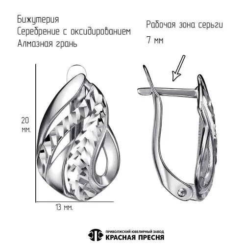 34012832-5_серьги