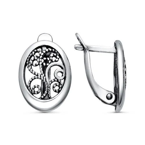 34015342_серьги